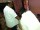 24-Jul-2014_Annai Teresa Mental Disorder Camp-1