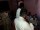 24-Jul-2014_Annai Teresa Mental Disorder Camp-2